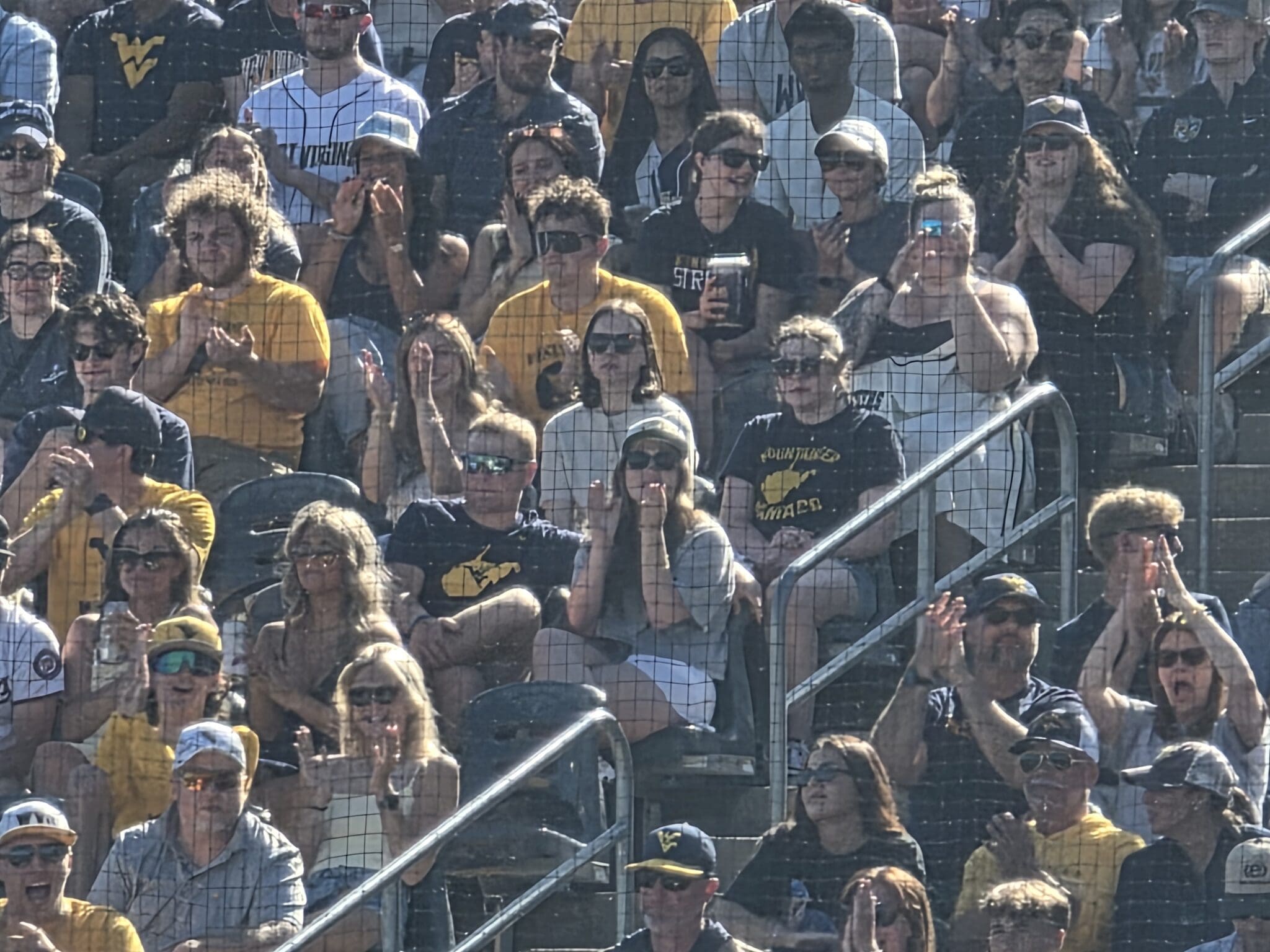 WVU Baseball crowd