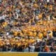 WVU Football fans at game stock photo