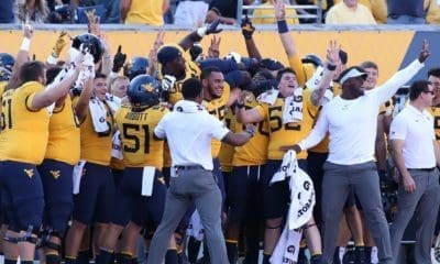 WVU football sideline stock