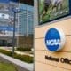 NCAA office stock