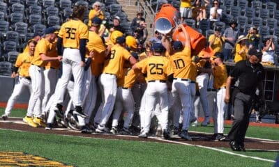 WVU Baseball celebrates after win