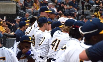 WVU baseball team in dugout