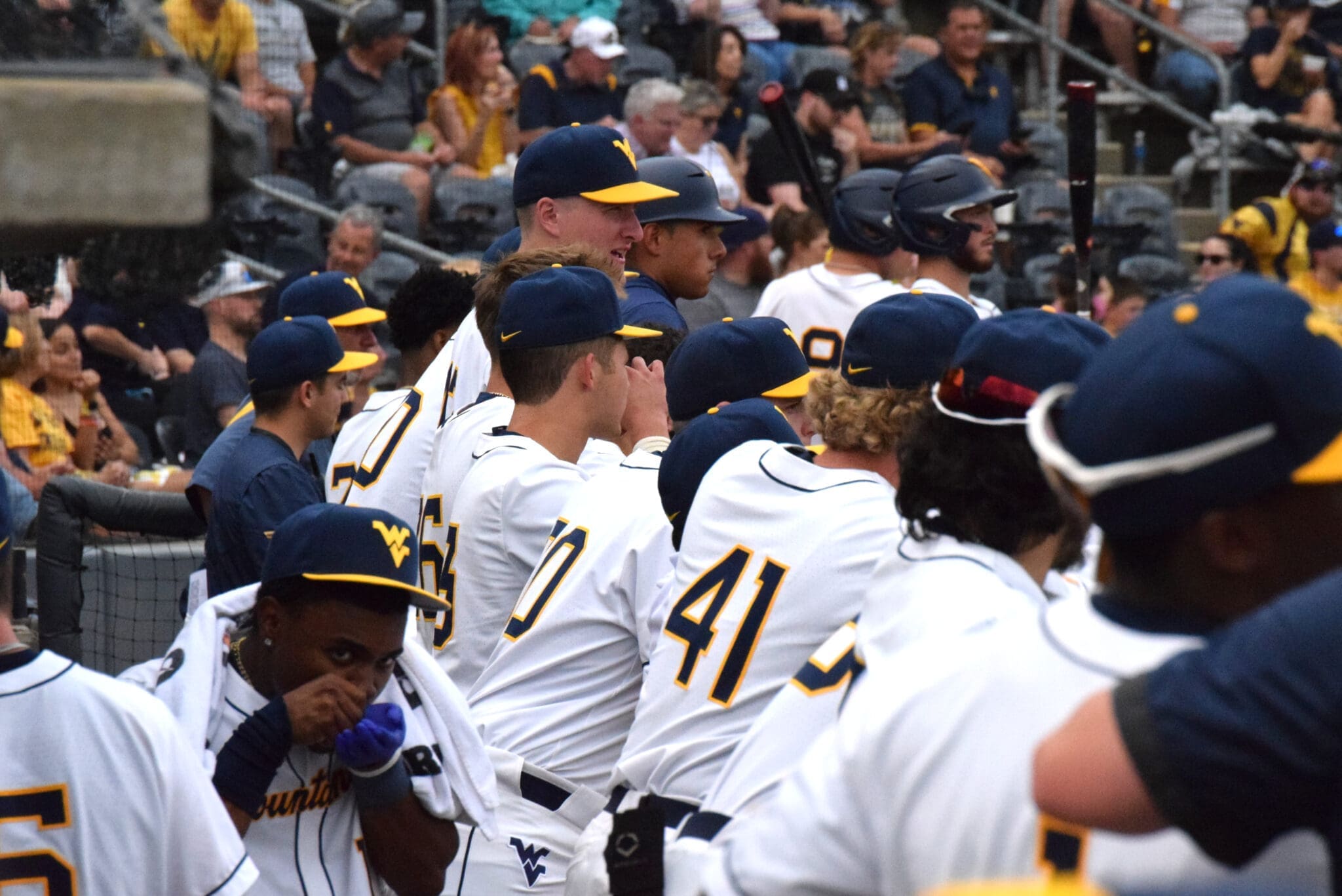 WVU baseball team in dugout