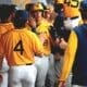 WVU Baseball celebrating