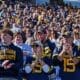 WVU Football fans stock