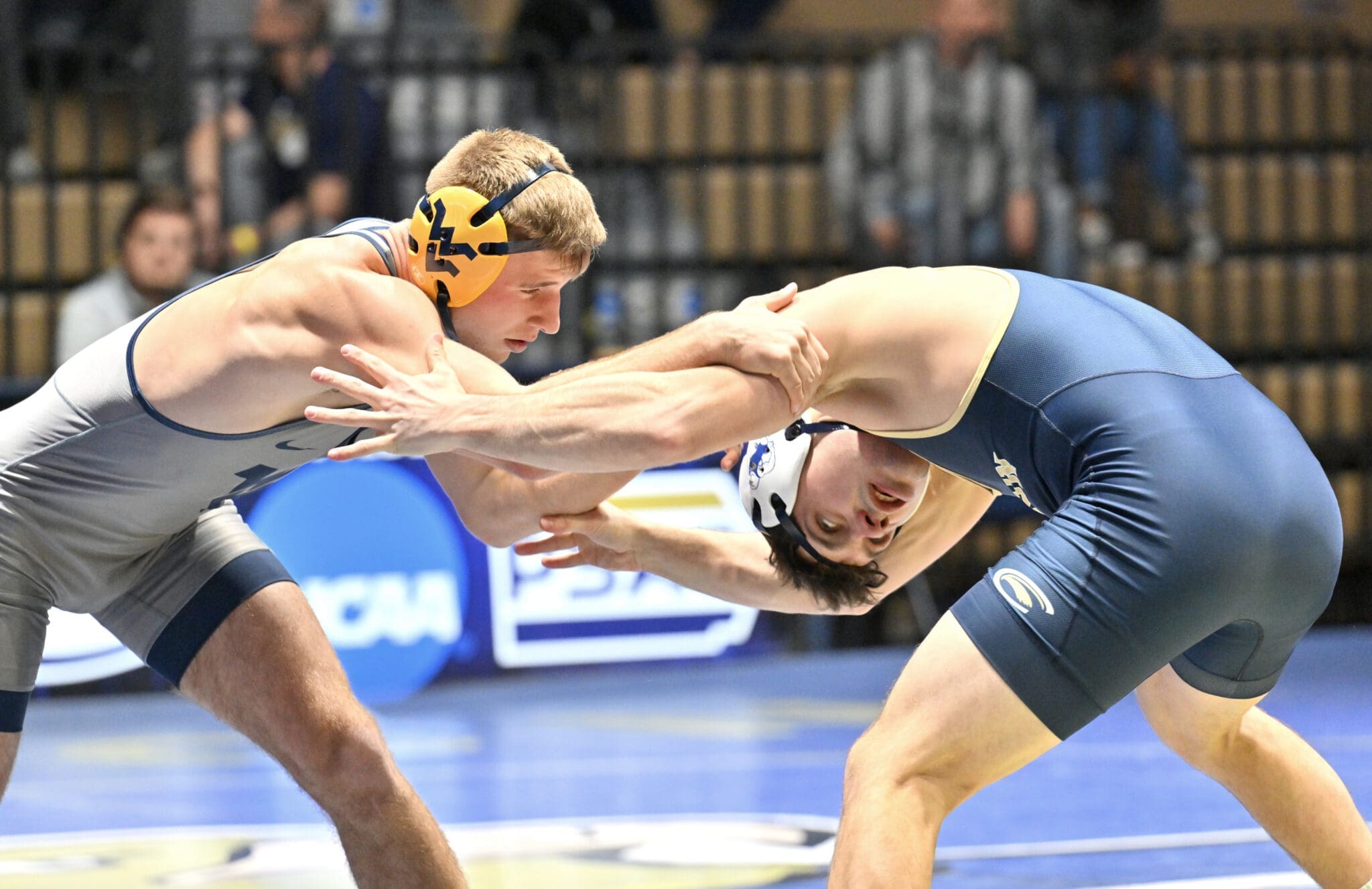 WVU Wrestling Peyton Hall