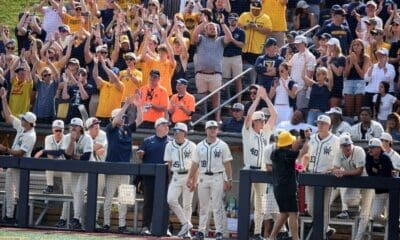 WVU Baseball players and fans at Super Regional
