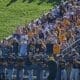 WVU Baseball fans at Morgantown Regional
