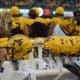 WVU Football Gold Helmets