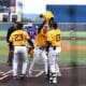 WVU Baseball celebrates