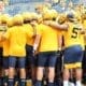 WVU football stock