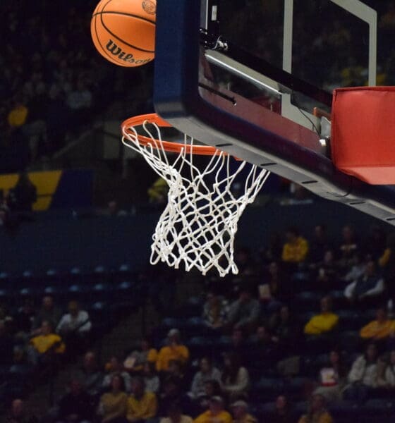 WVU Basketball Stock