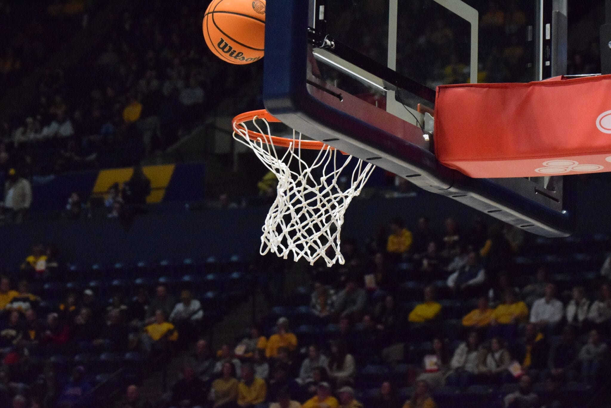 WVU Basketball Stock