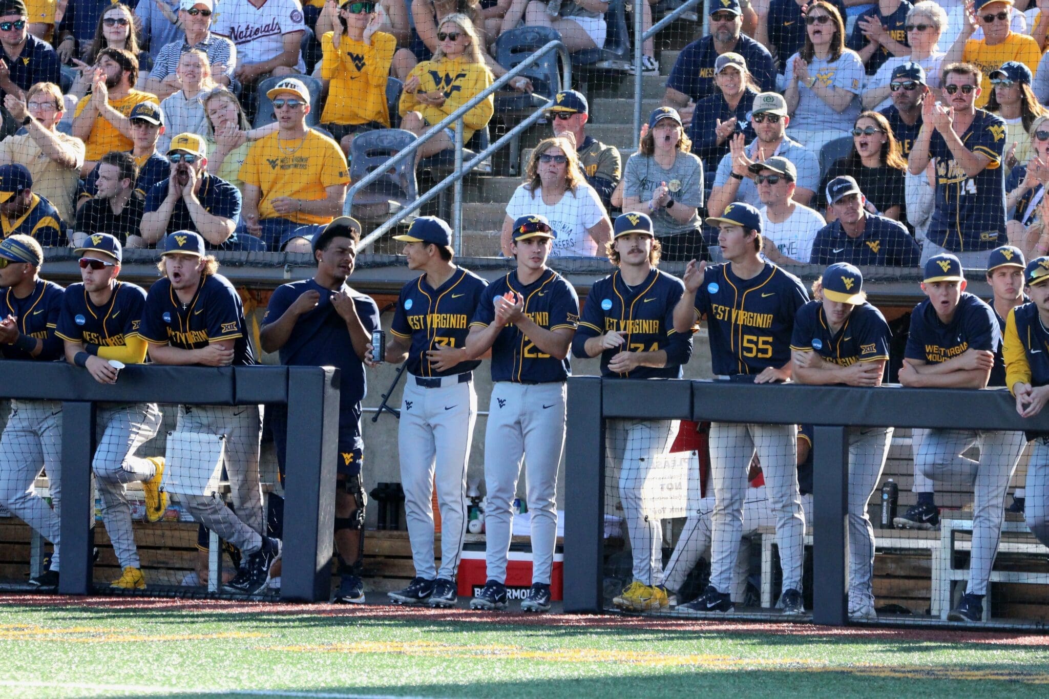 WVU Baseball players in dugout