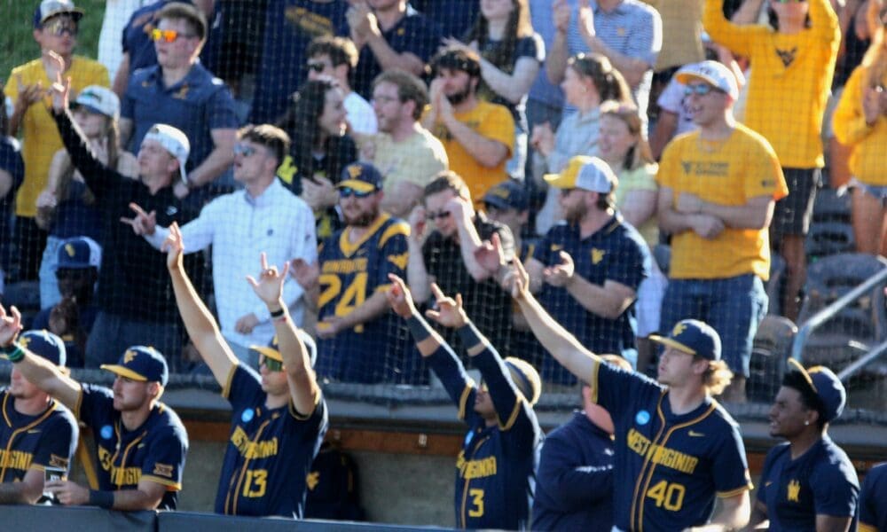 WVU Baseball fans and players