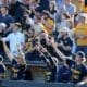 WVU Baseball fans and players