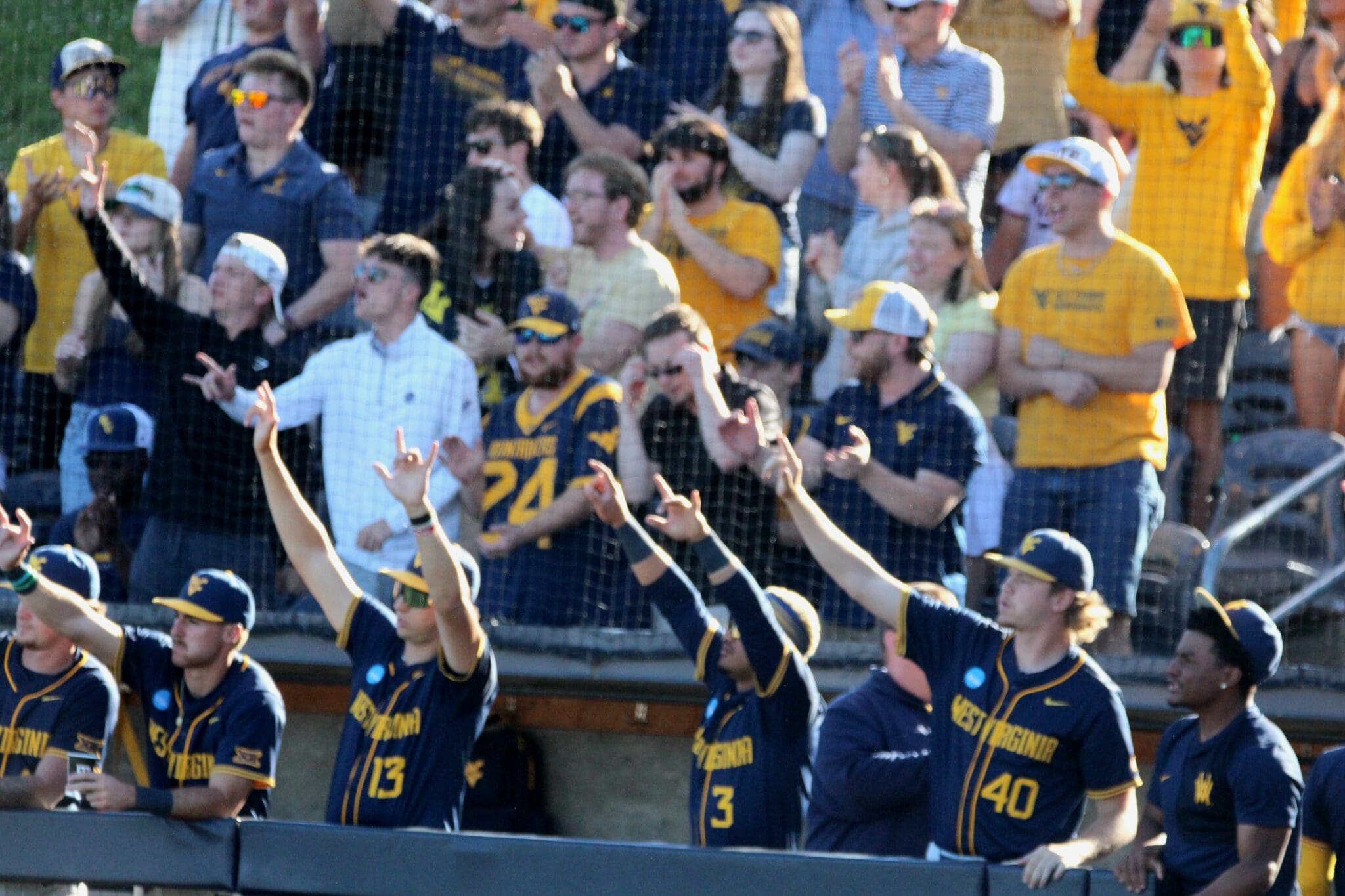 WVU Baseball fans and players
