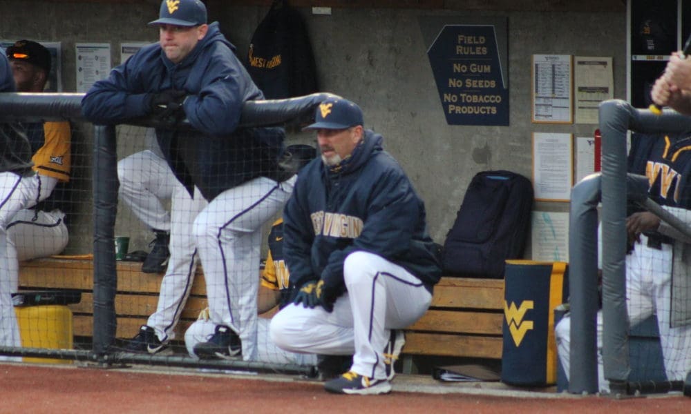 WVU Baseball head coach Randy Mazey watches from the dugout during a game.