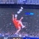 Red Panda at WVU