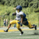 WVU Football RB Andre Devine