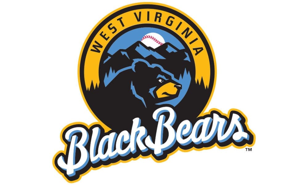 WV Black Bears logo stock