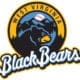 WV Black Bears logo stock
